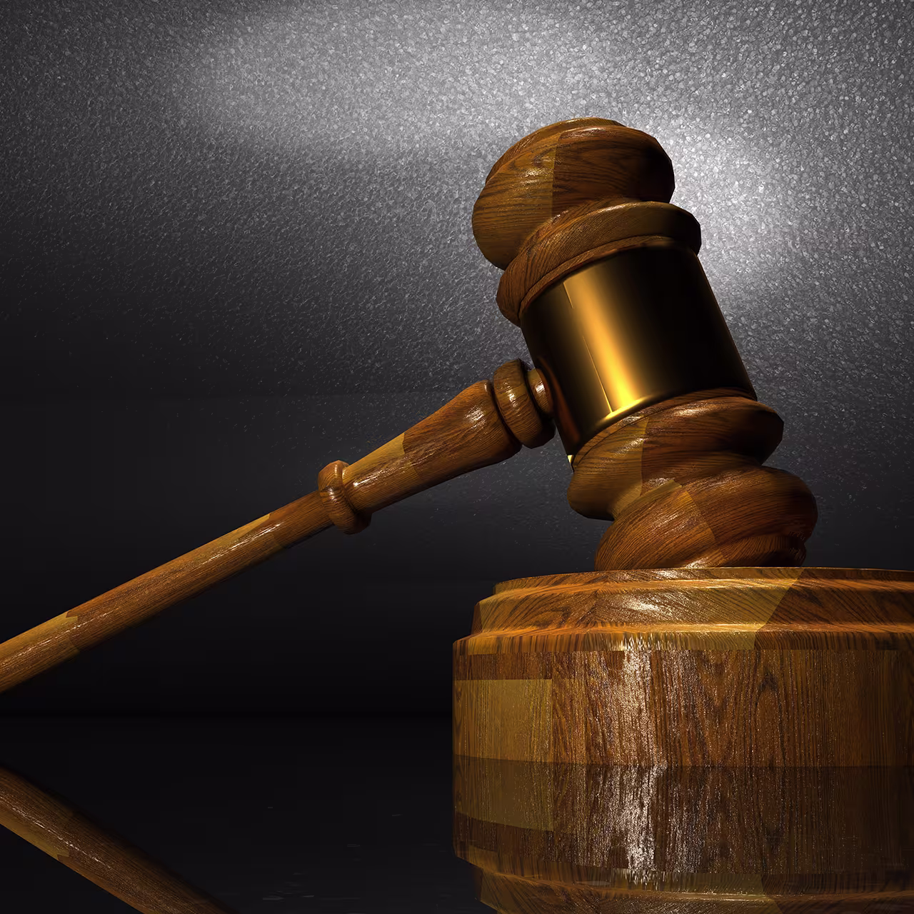 Litigation